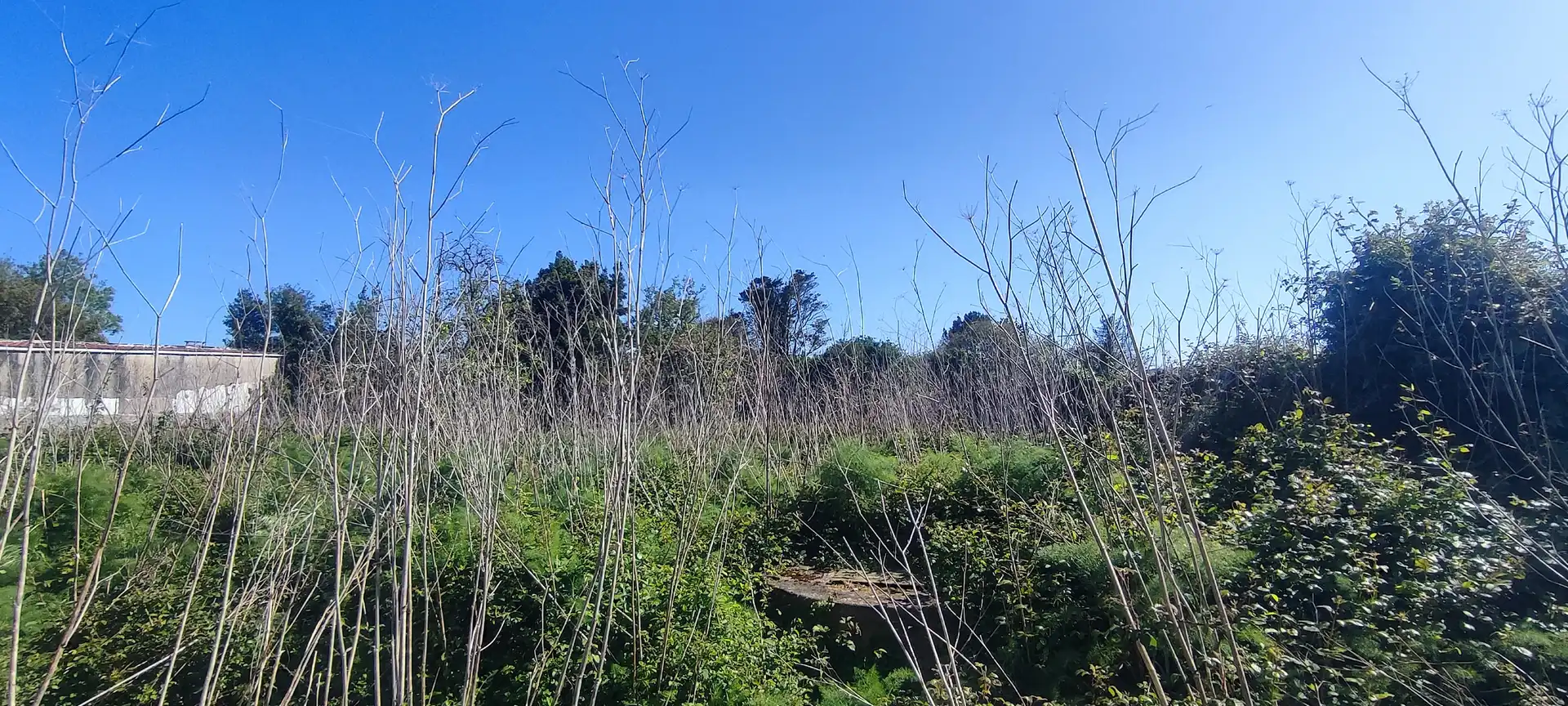 Casa o xalet en venda en Ferrol amb Jardí privat