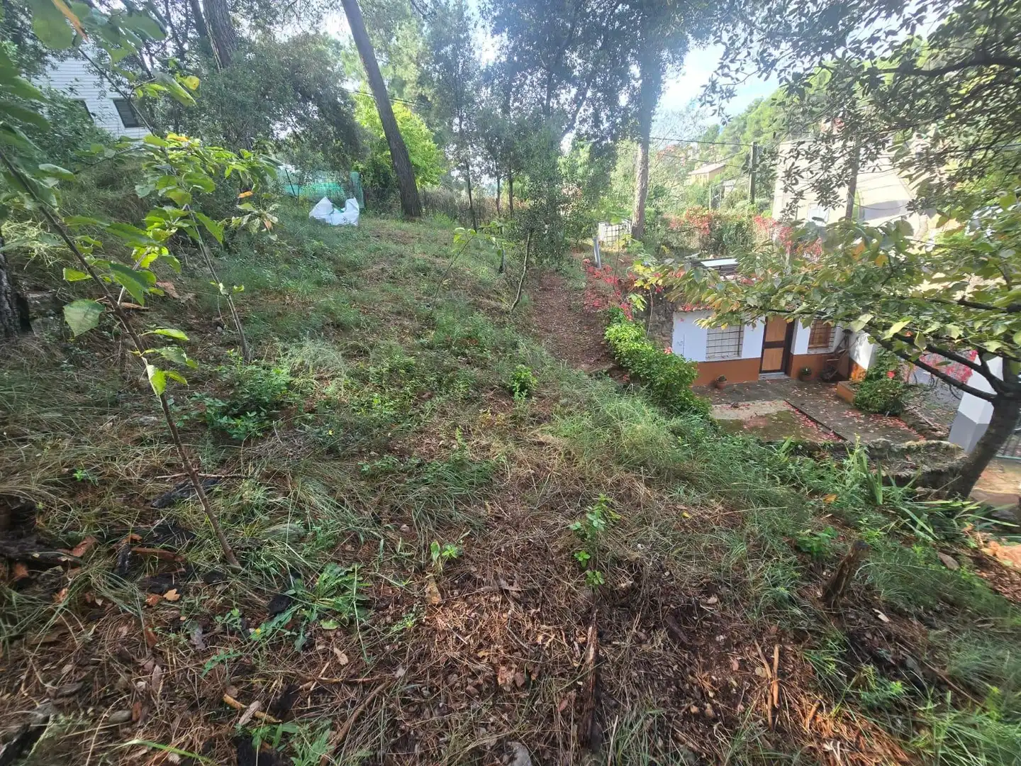 Lands and plots for sale in Airesol, imagen 14