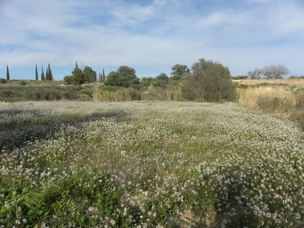 Residencial en venda en Caravaca de la Cruz