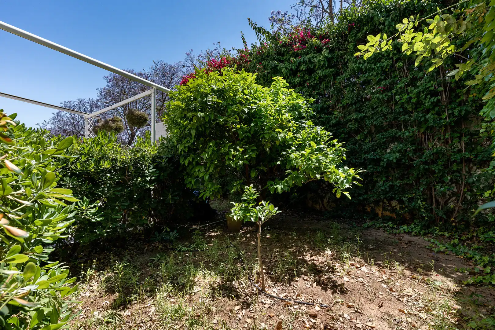 Jardí de Planta baixa en venda en  Palma de Mallorca amb Jardí privat, Terrassa i Piscina comunitària