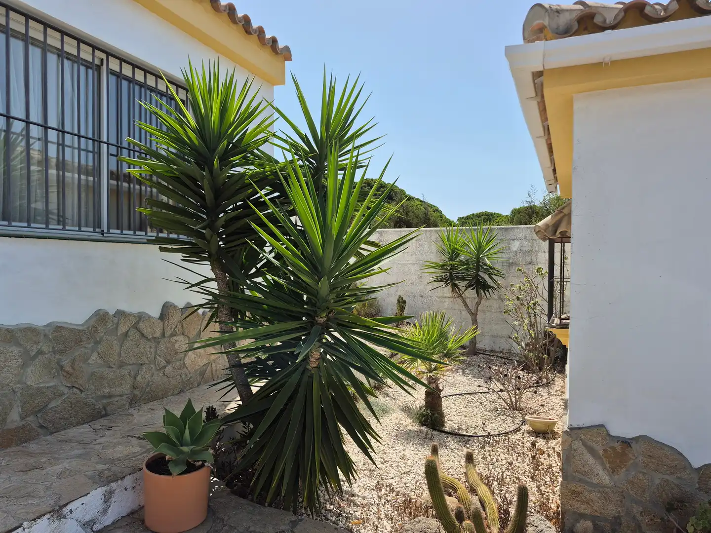 Garden of Country homes for sale in Barbate  with Terrace