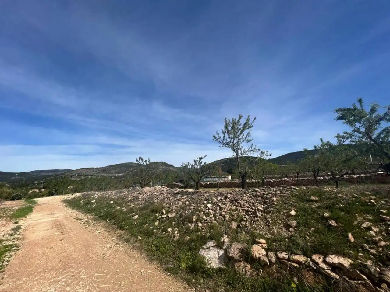Chalet con jardín en venta en Calle Poligono, imagen 72