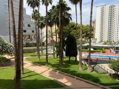 Garden of Study for sale in Benidorm  with Private garden and Community pool