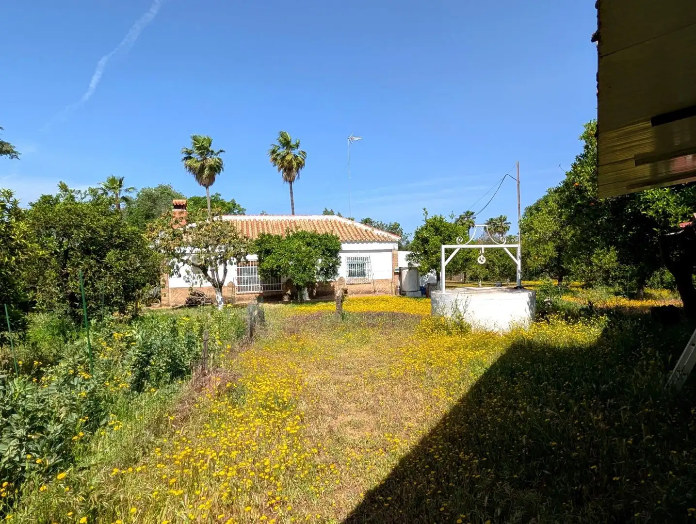 Chalet con jardín en venta en Sanlúcar la Mayor, imagen 37