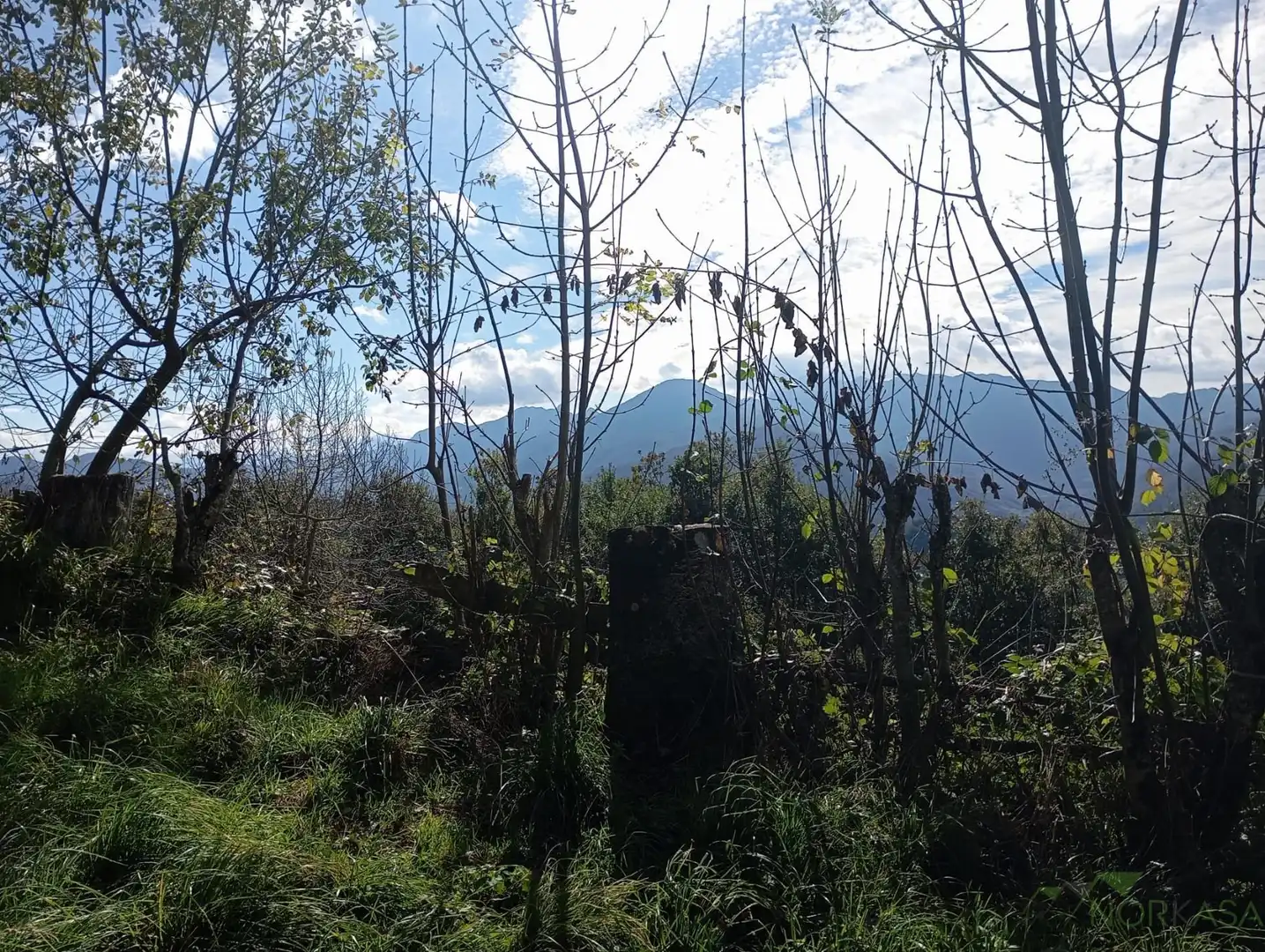 Casa en venta en Poligono 38, Parcela 213, imagen 12
