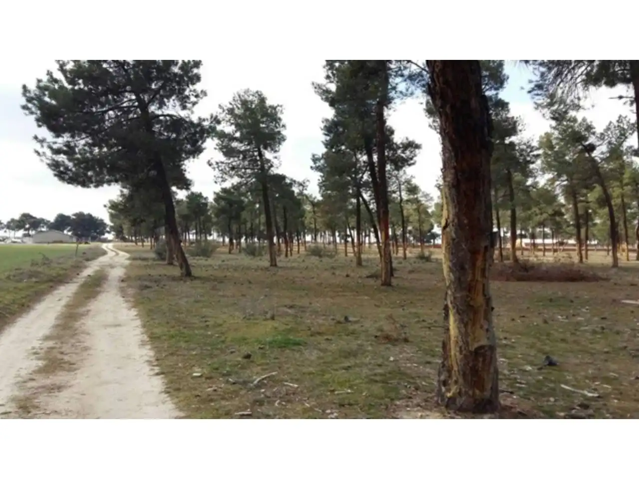 Terreni e lotti in vendita a Tiñosillos, imagen 3