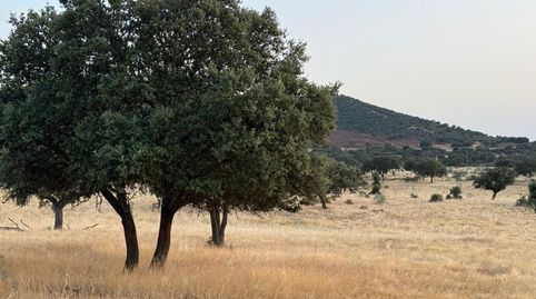 Photo 2 of Land for sale in Casco Antiguo, Cáceres Capital