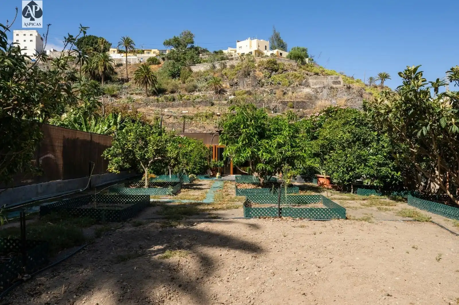 Jardín de Finca rústica en venta en Telde con Jardín privado, Terraza y Trastero