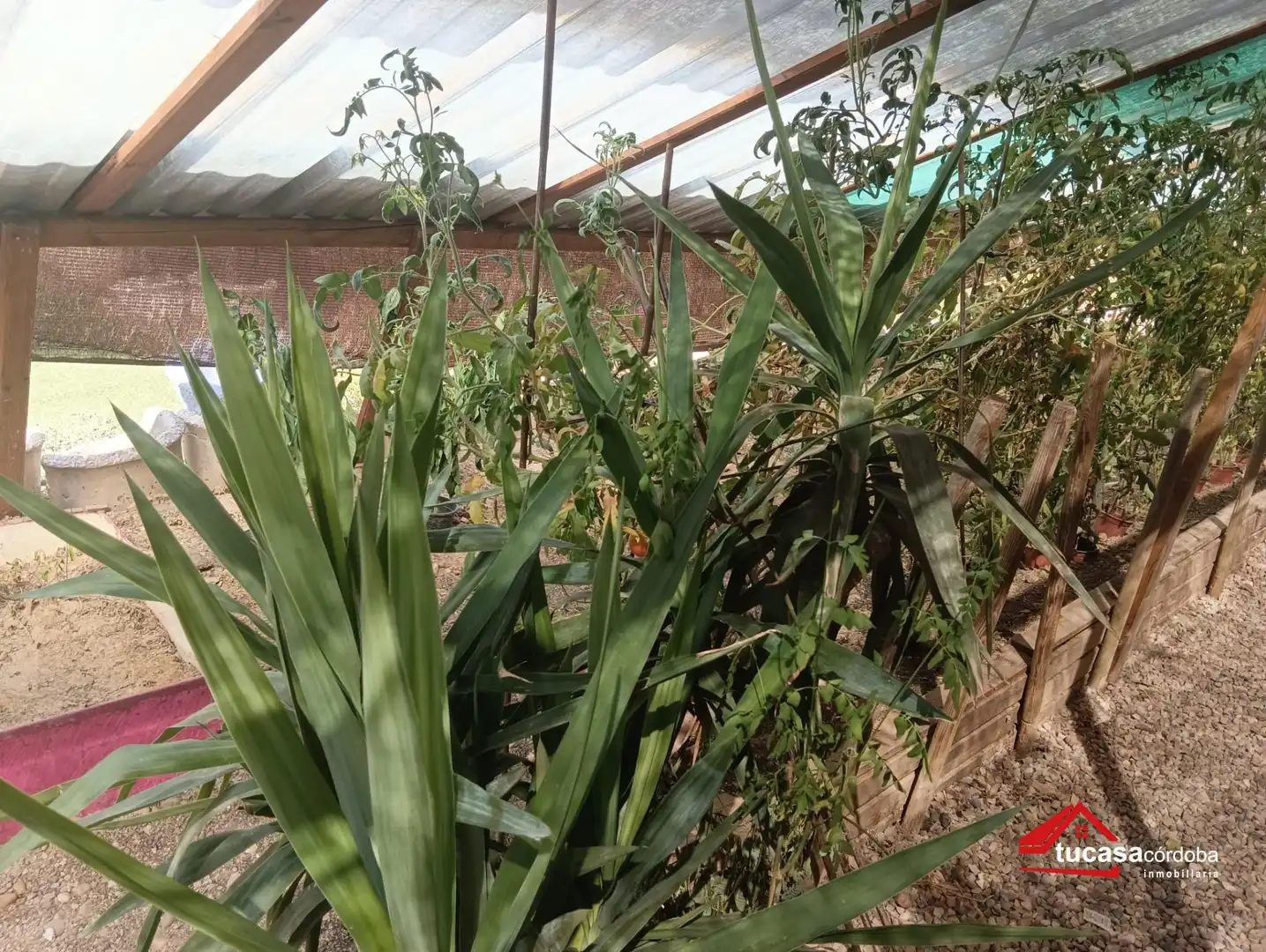 Jardín de Casa o chalet en venta en La Carlota con Aire acondicionado, Calefacción y Piscina
