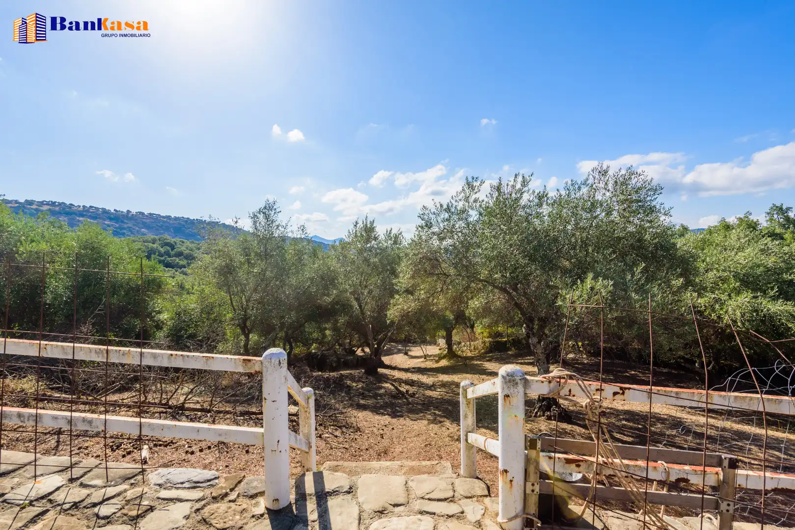 Jardí de Casa o xalet en venda en Cortes de la Frontera amb Calefacció, Jardí privat i Moblat