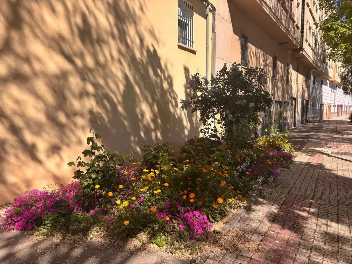 Garten von Wohnung zum Verkauf in Salamanca mit Abstellraum
