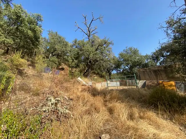 Terrenos y solares en venta en La Nava, imagen 6