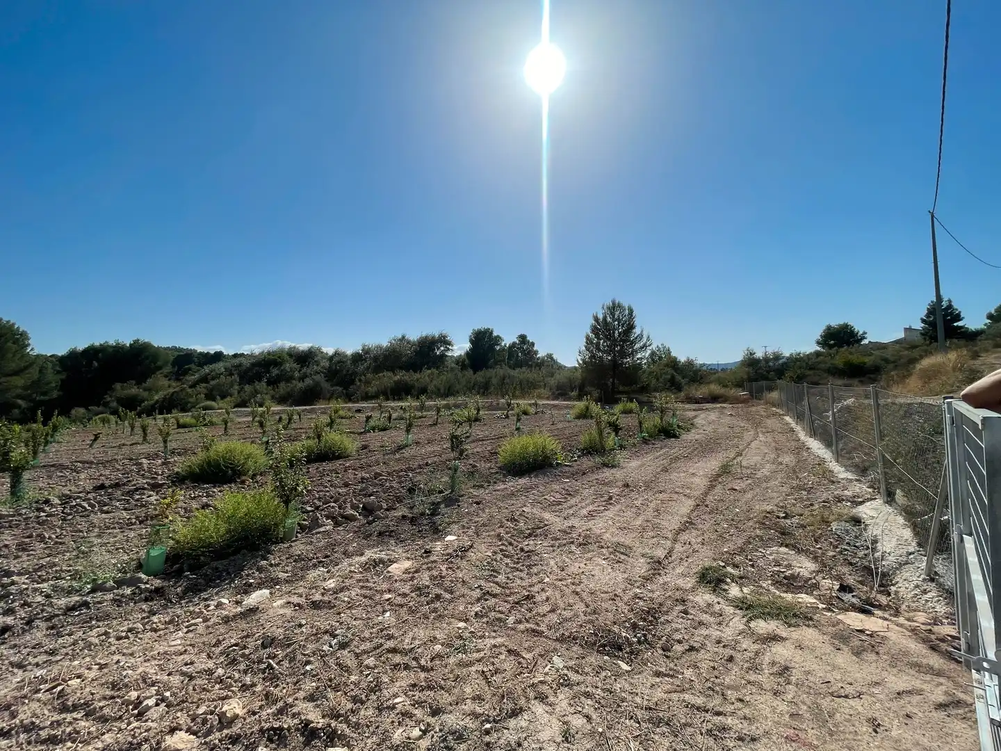 Terreno rustico in vendita a Cehegín, imagen 26