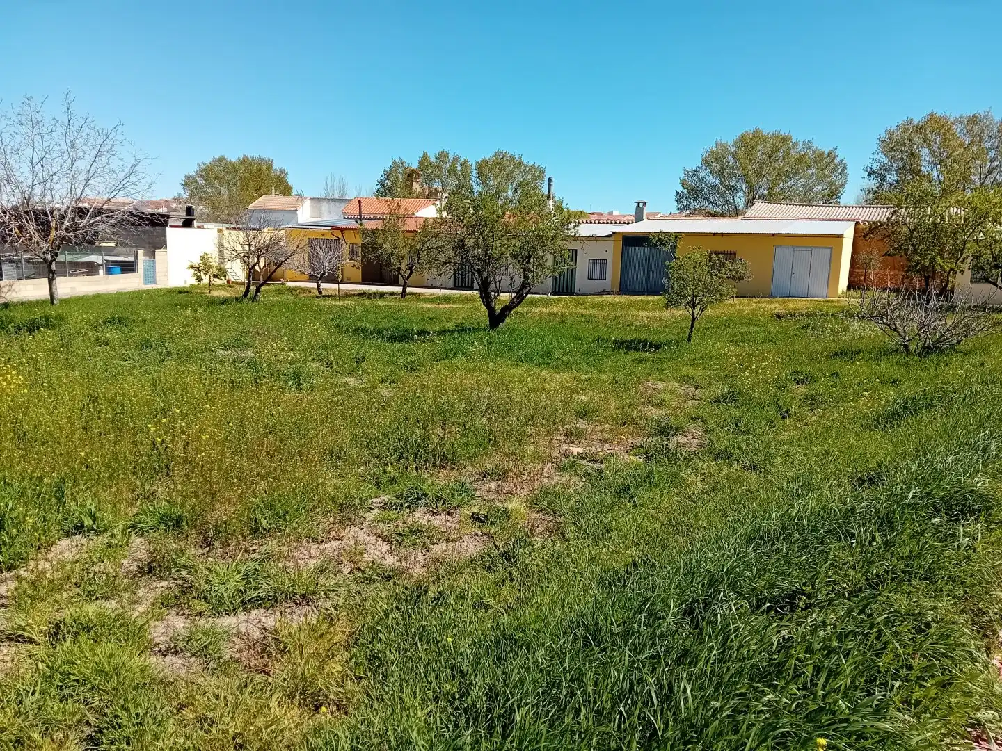 Flat for sale in Cózar