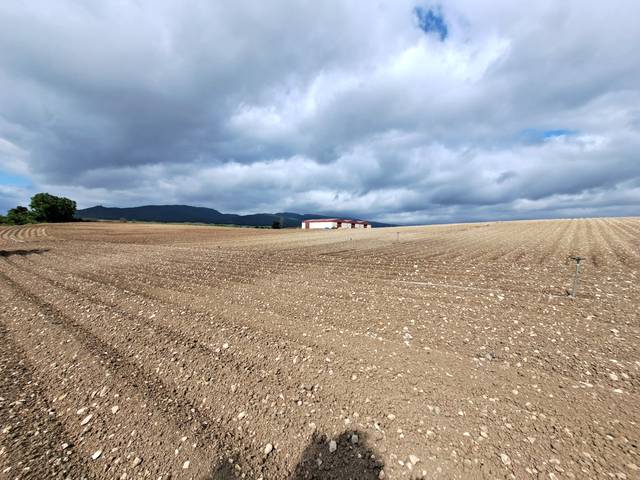 Terreno industrial en Venta en Carretera Nacional I en La Puebla de Arganzón