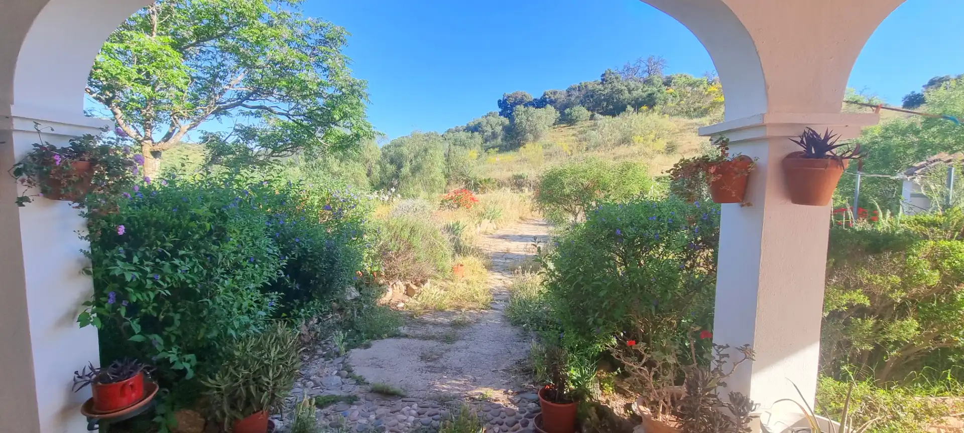 Jardí de Finca rústica en venda en Casabermeja amb Aire condicionat, Calefacció i Jardí privat