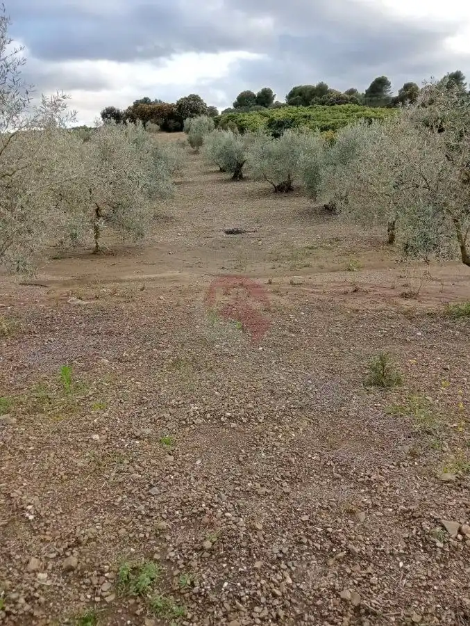 Terrenys i solars en venda a Coín, imagen 9
