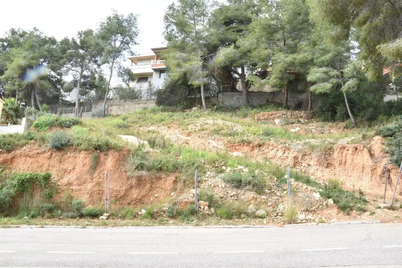 Rural land for sale in GLADIOL, imagen 11