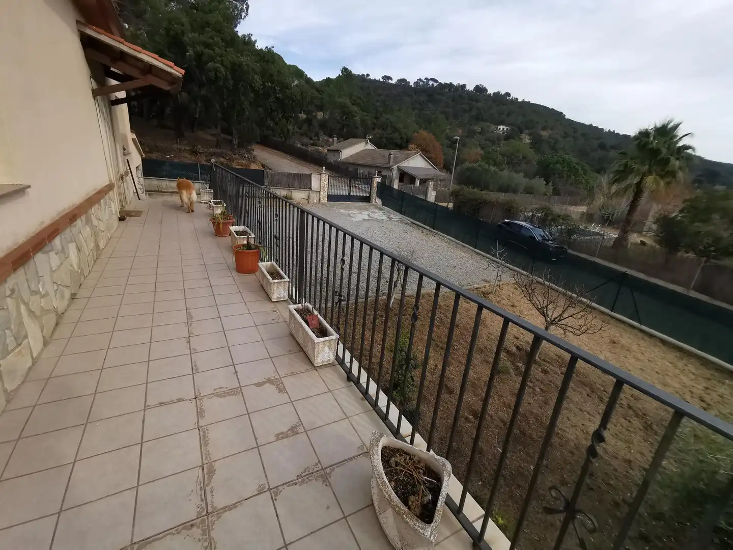 Villa mit Garten zum Verkauf in Sant Feliu de Buixalleu, imagen 14