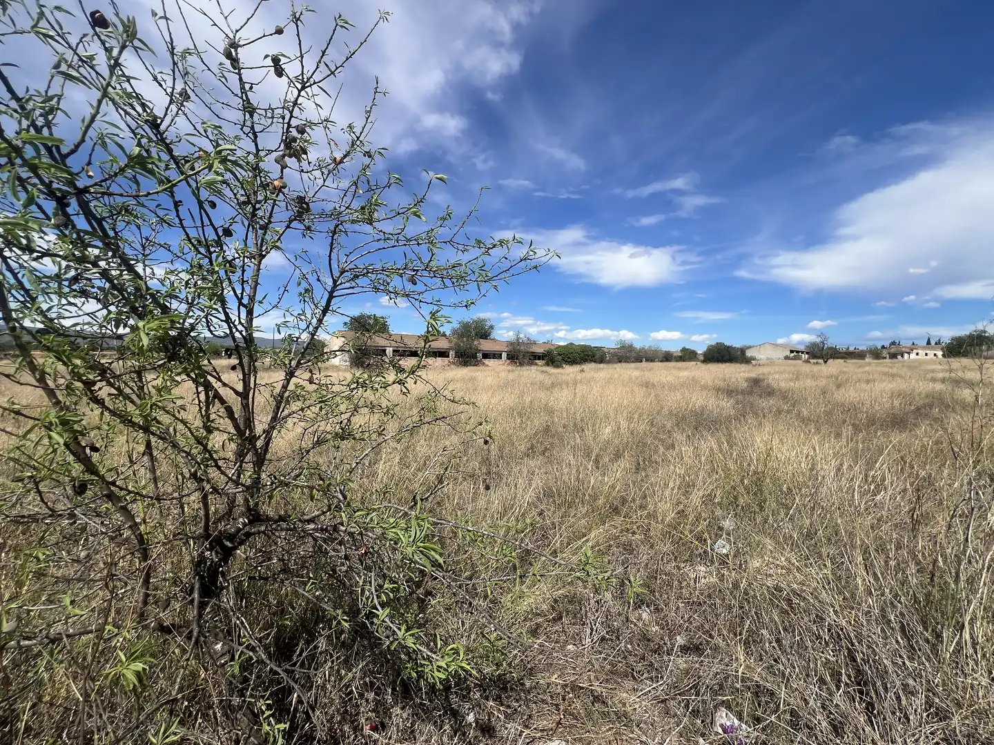 Terreno residencial en venta en Carrer Jaume Palau 23, imagen 15
