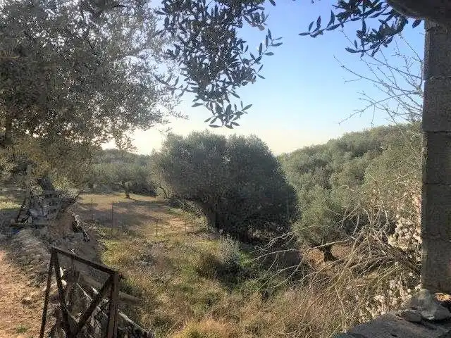 Casa o xalet en venda en Tortosa