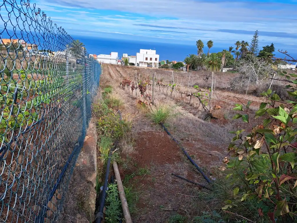 Rural land for sale in El Sauzal, imagen 21
