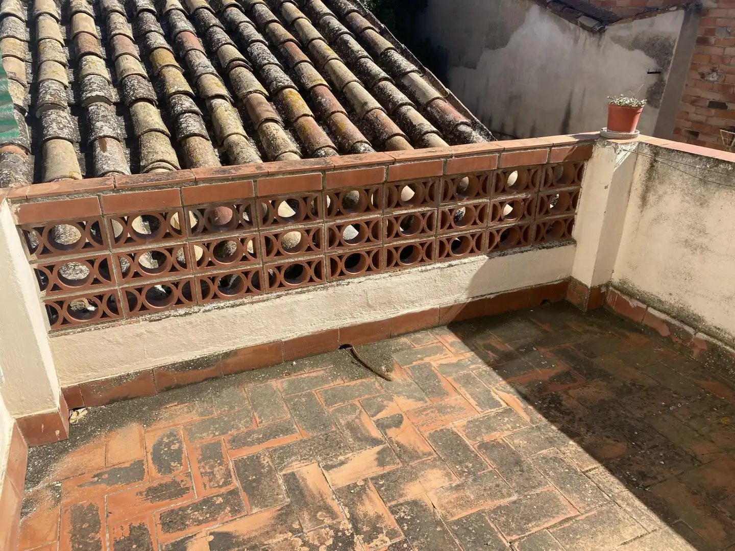 Maison mitoyenne à vendre à Gran, imagen 55