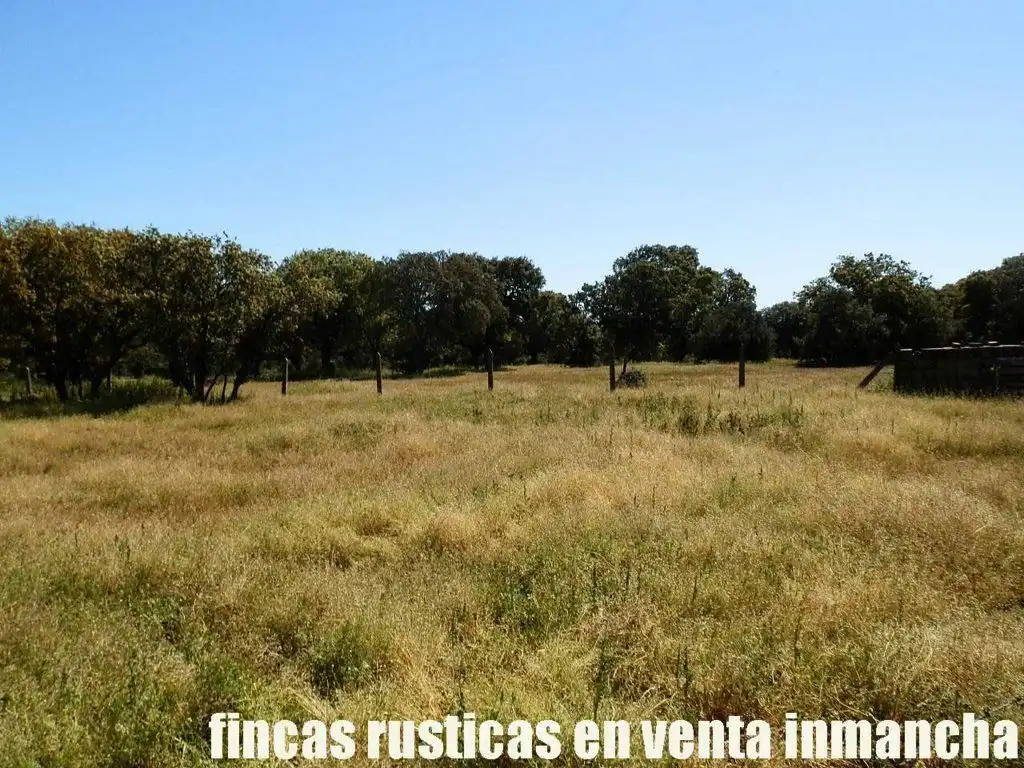 Terreno rustico in vendita a Ciudad Rodrigo, imagen 13