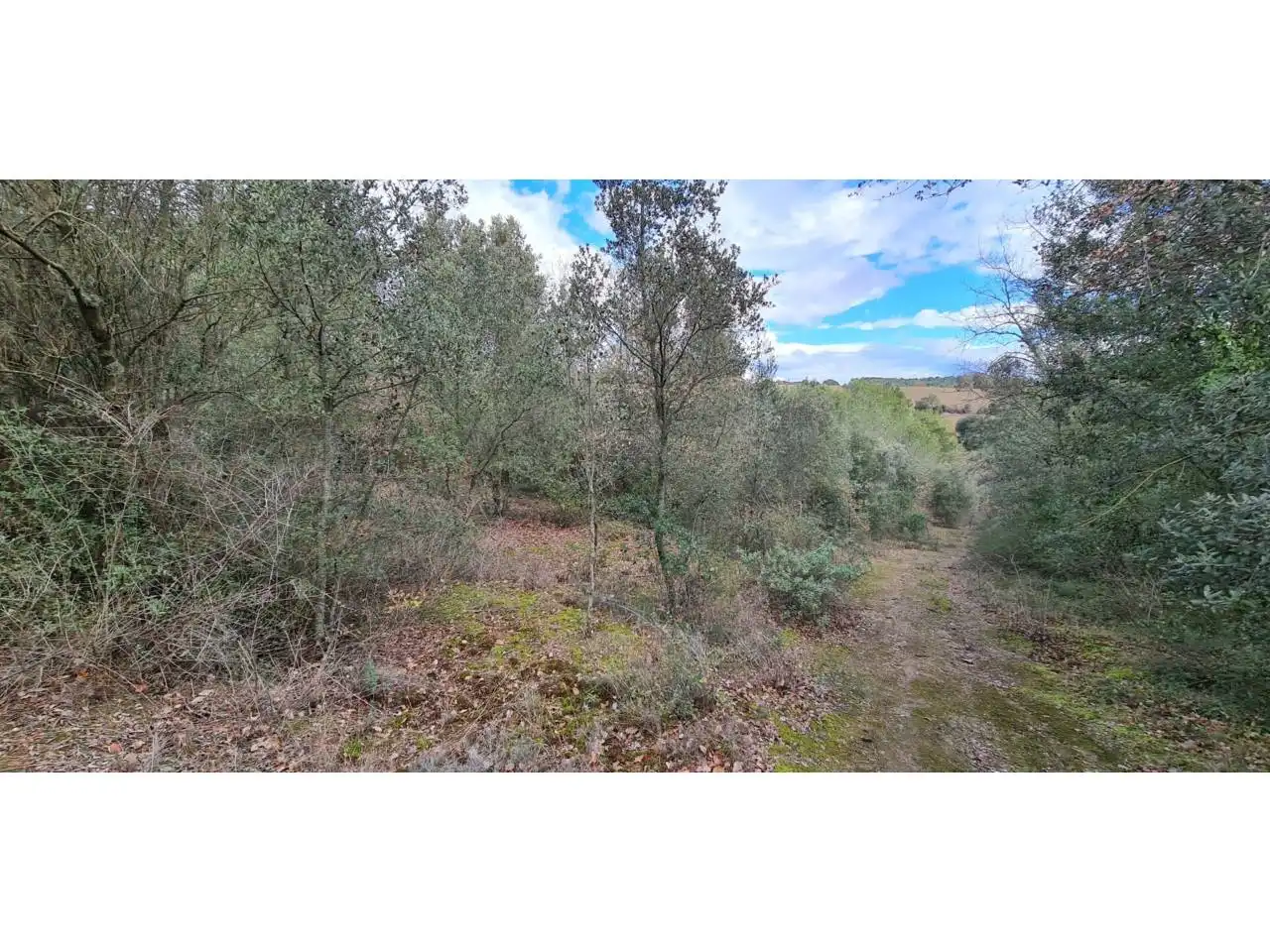 Rural land for sale in Lliçà d'Amunt, imagen 21