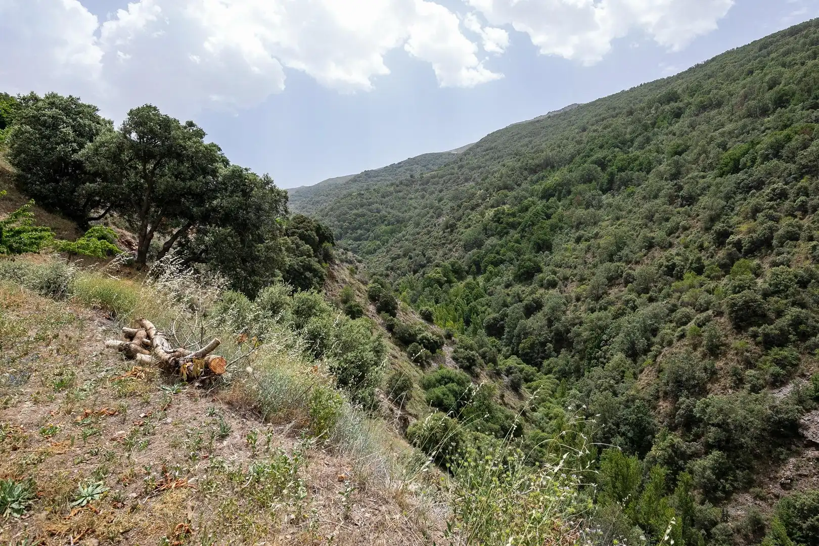 Terreni e lotti in vendita a Majadillas, imagen 45