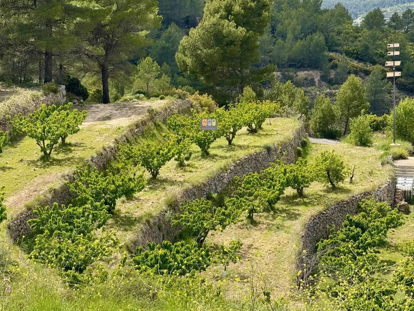 Finca rústica en venta en Sella