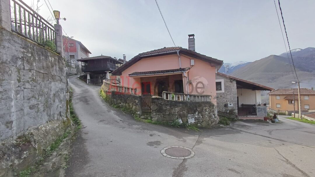 Vista exterior de Casa o chalet en venta en Teverga con Calefacción y Jardín privado