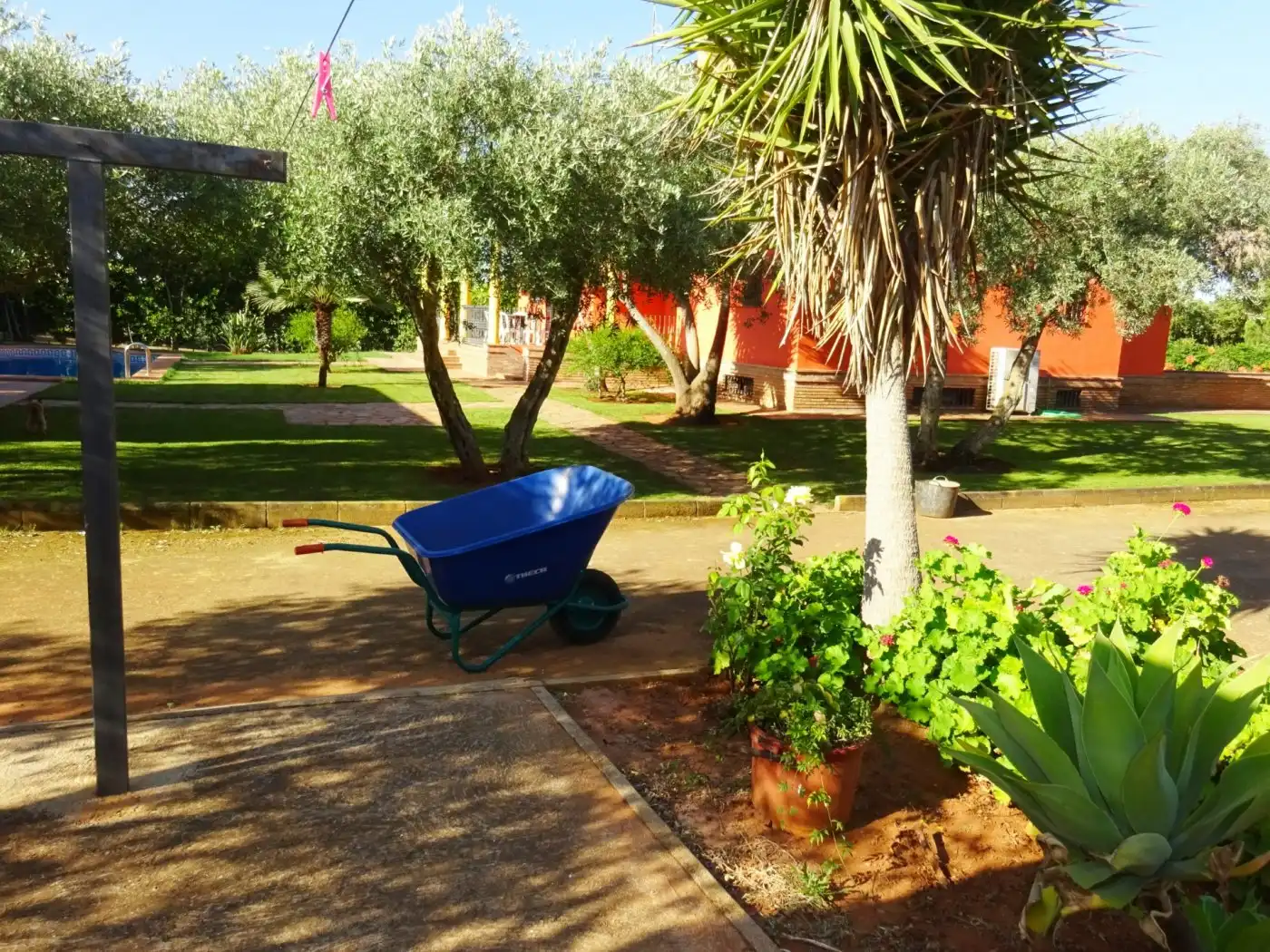 Finca rústica en venda a Mairena del Alcor