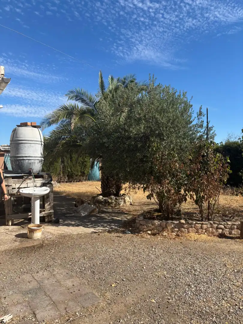 Grundstücke zum Verkauf in Aranjuez