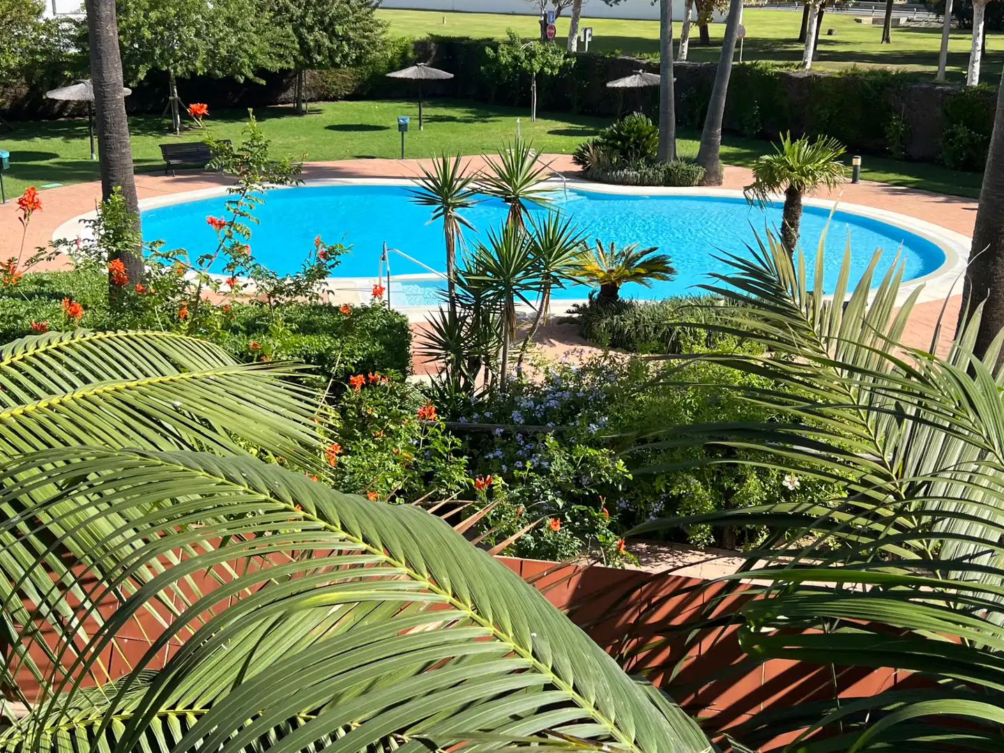 Swimming pool of Flat for sale in Costa Ballena Golf