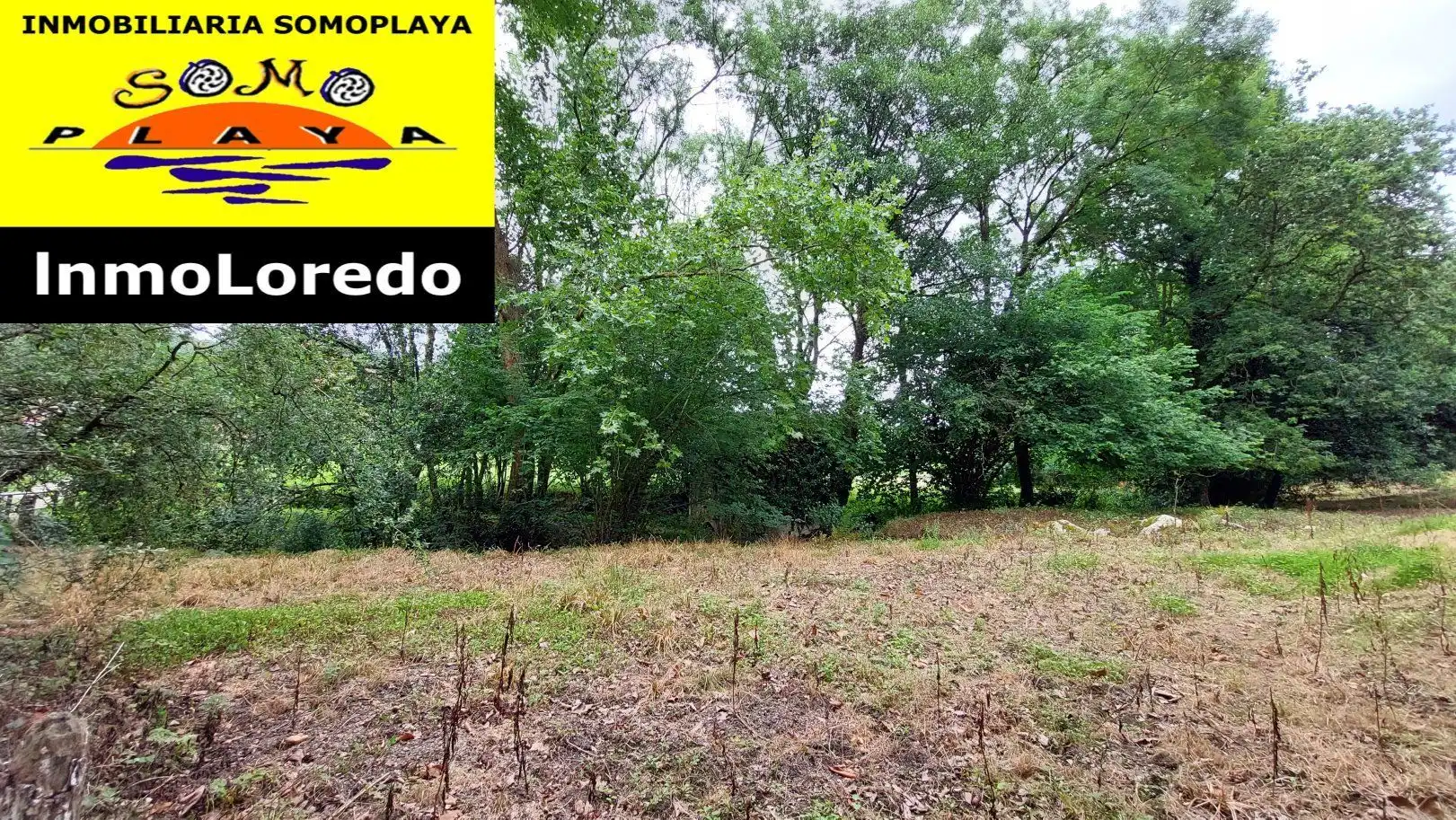 Terreni e lotti in vendita a Ribamontán al Monte, imagen 6