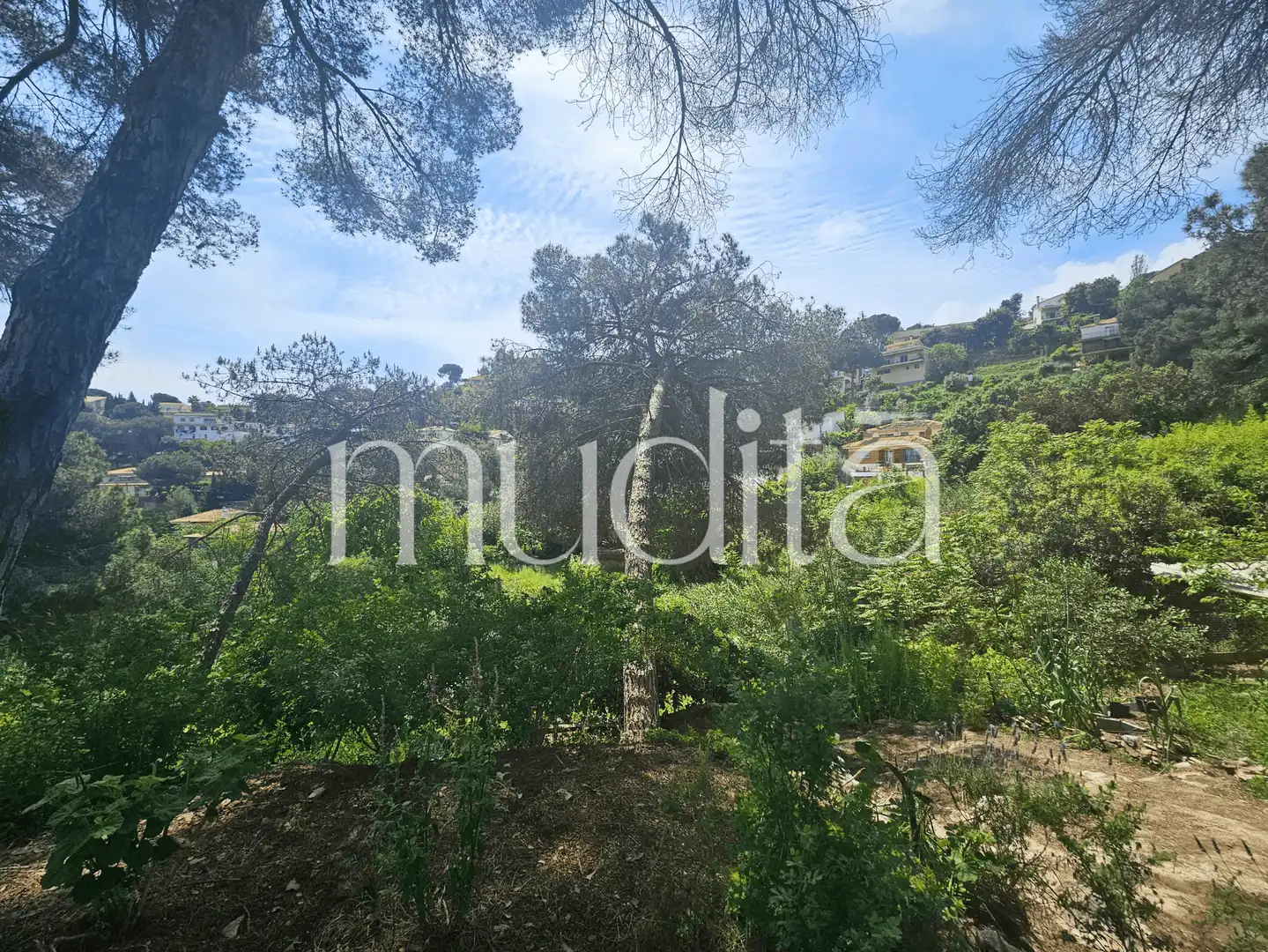 Terreno residencial en venta en Joan Maragall i Gorina, imagen 26