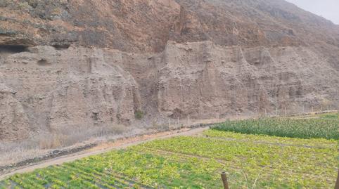 Photo 4 of Country house for sale in Carretera del Cuartel Manuel Lois, Siete Palmas, Las Palmas