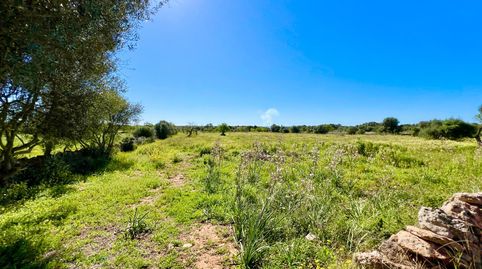 Foto 5 von Residential zum Verkauf in Es Llombards, Santanyí
