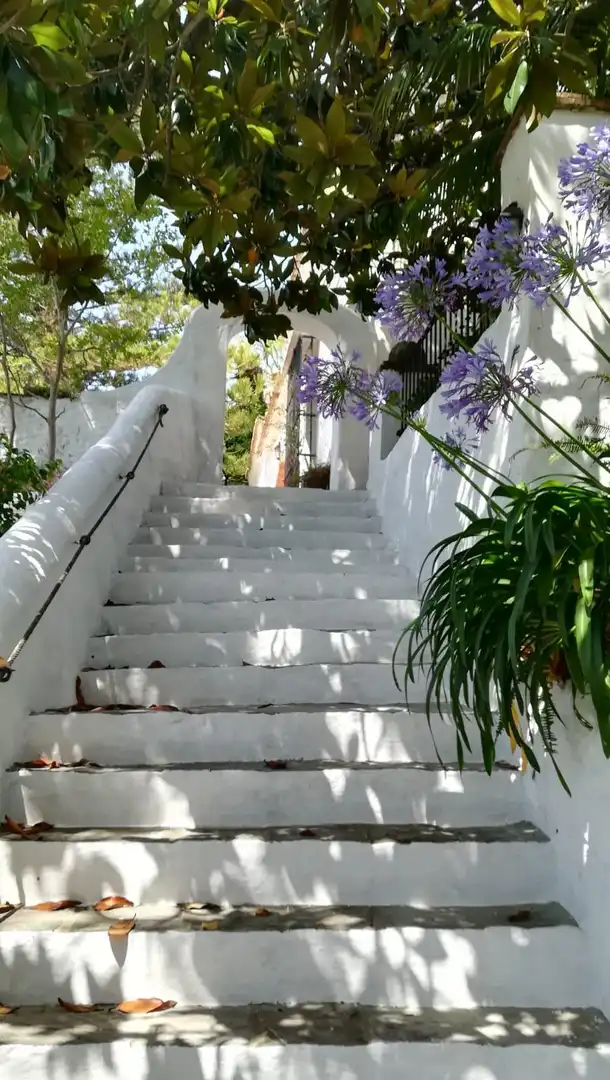 Vista exterior de Casa o xalet en venda en Algeciras