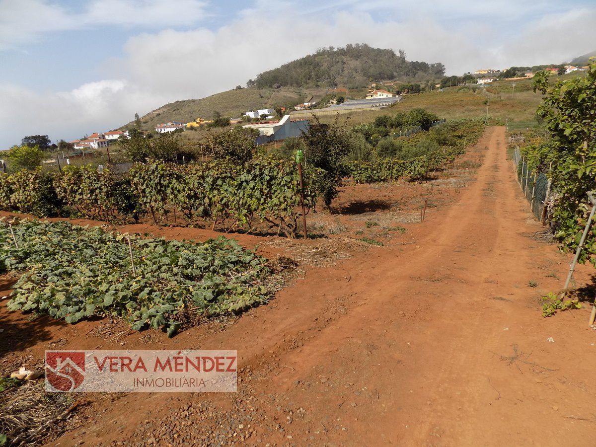 Finca rústica en venda en Tacoronte