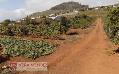 Finca rústica en venda en Tacoronte