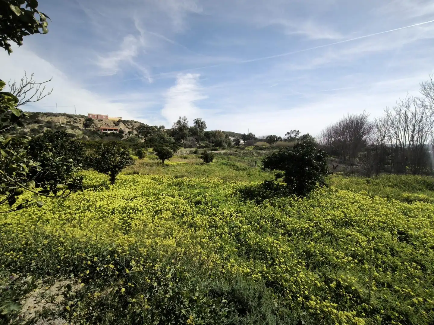 Lands and plots for sale in Gádor, imagen 26