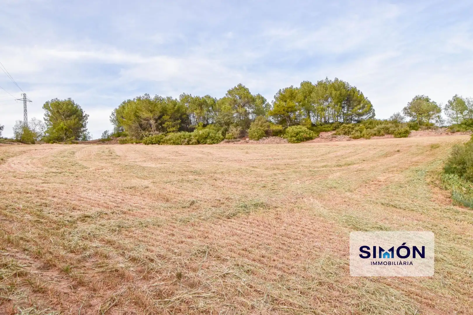 Finca rústica en venta en Veciana
