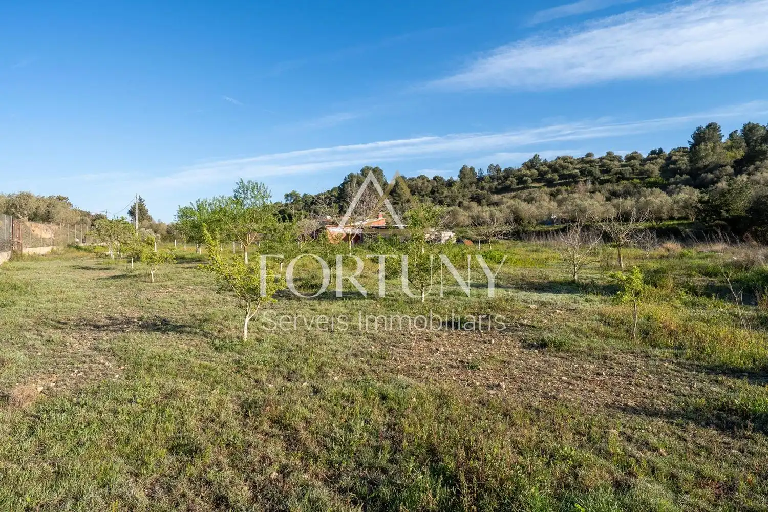 Casa o xalet en venda en L'Aleixar