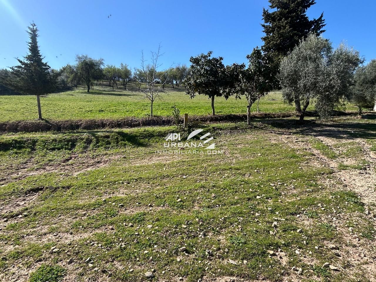 Residential for sale in Lucena