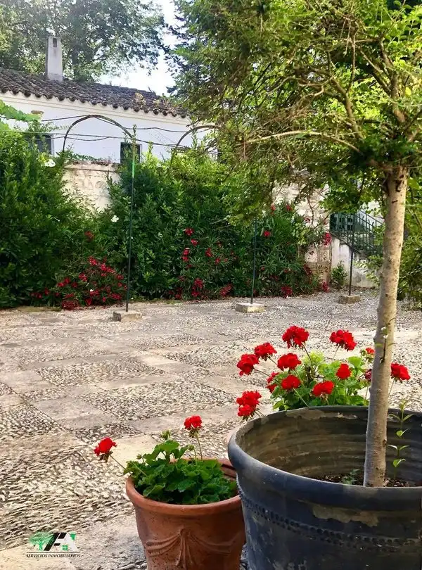 Casa rustica con piscina in vendita a Baeza, imagen 33