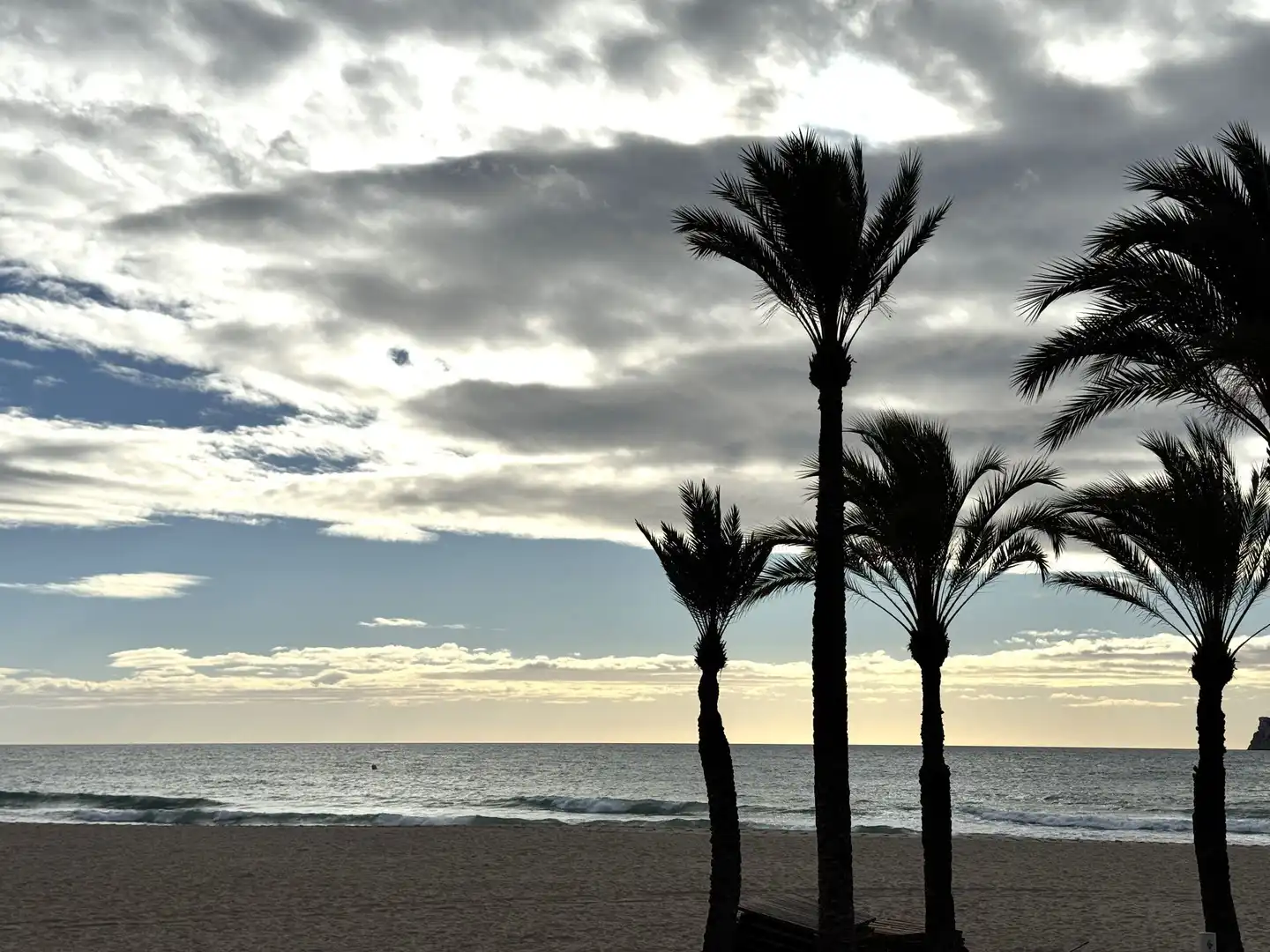 Vista exterior de Apartament de lloguer en Benidorm amb Aire condicionat, Calefacció i Terrassa