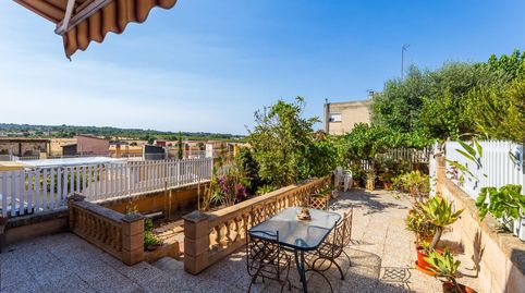 Foto 2 de Planta baja en venta en Sant Jordi, Palma de Mallorca