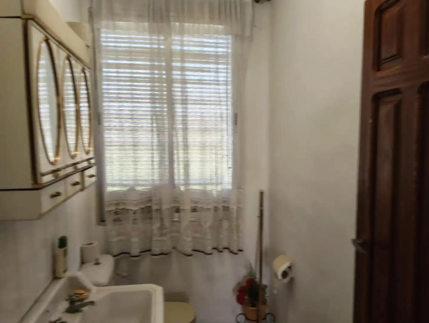 Maison à vendre à Oeste, imagen 15